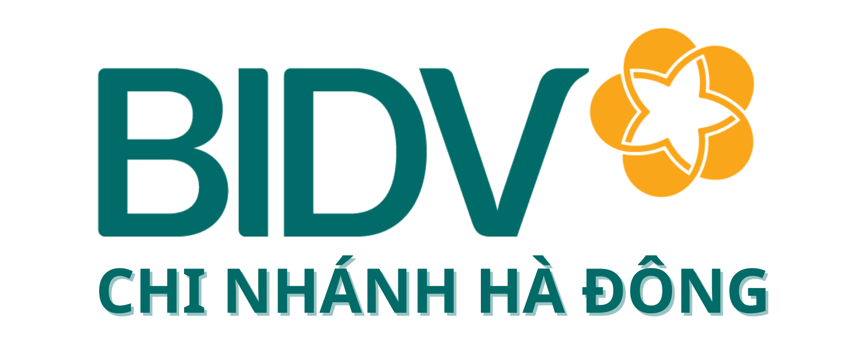 BIDV Logo